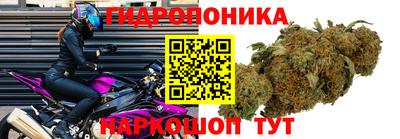 ешки Комсомольск-на-Амуре