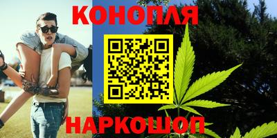 прущие крисы Апшеронск