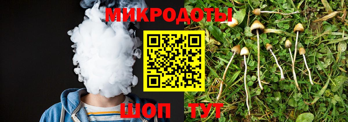 Малгобек  Псилоцибиновые грибы Psilocybine cubensis  Вход с VPN 