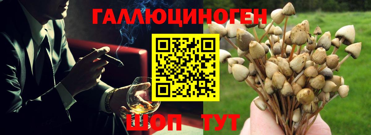 Alpha PVP СК кристаллы  Малгобек  Канабис  АМФЕТАМИН кристаллы  Меф   Гашиш  COCAIN  Метамфетамин  Вход с VPN  МДМА 
