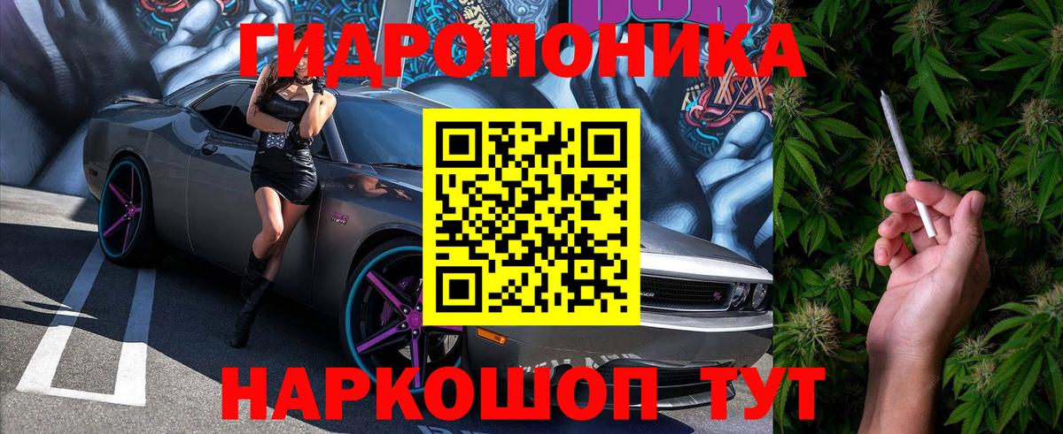 Малгобек  Бошки Шишки LSD WEED  Вход с VPN  Марихуана план  Шишки марихуана THC 21%  Бошки Шишки Bruce Banner 